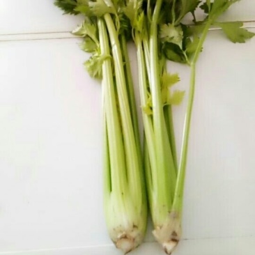 芹菜