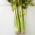 芹菜