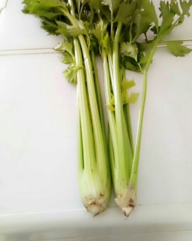 芹菜