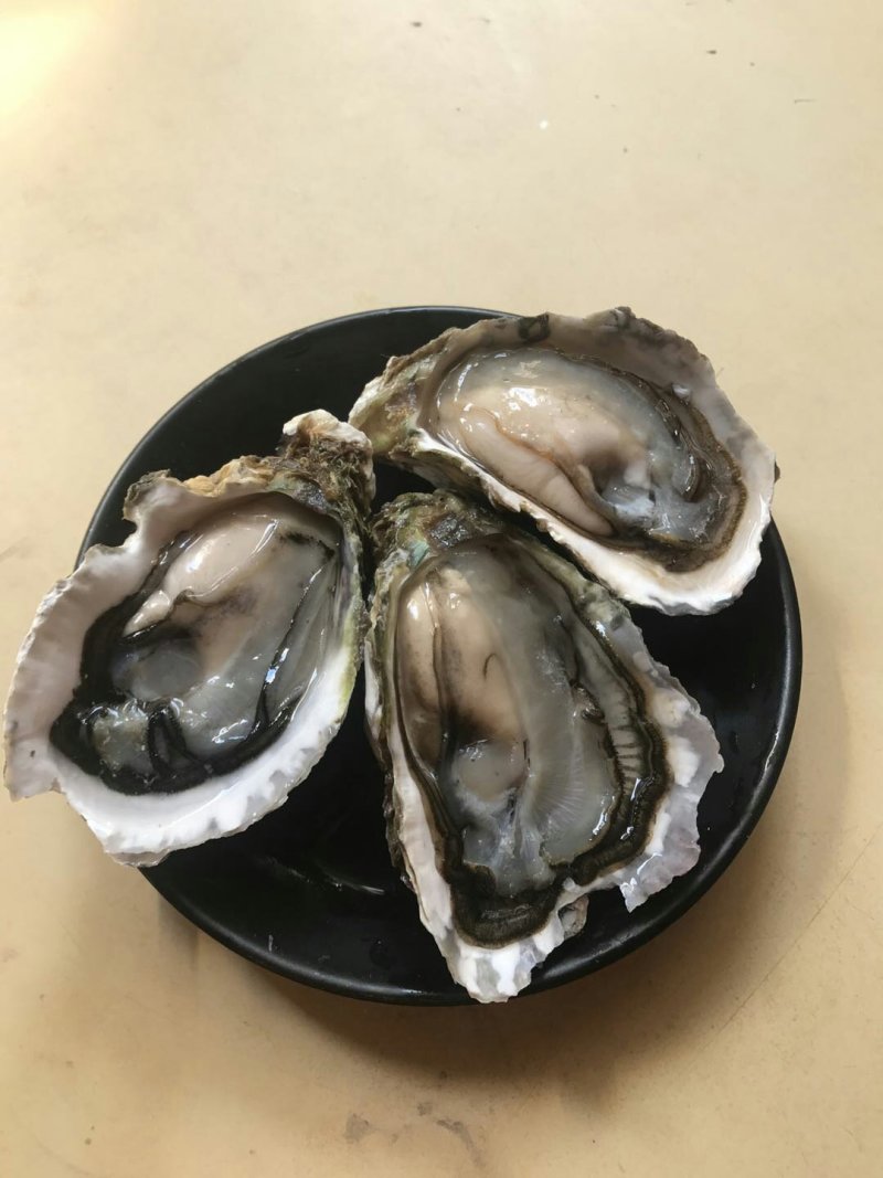 生蚝鲜活全壳深海烧烤牡蛎新鲜海蛎子批发原产地直供