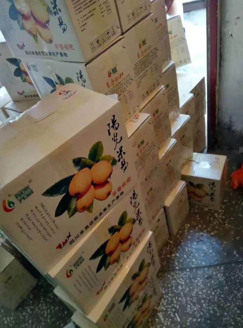 枇杷