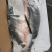 缅甸原装进口巴沙鱼