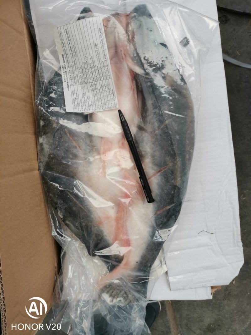 缅甸原装进口巴沙鱼