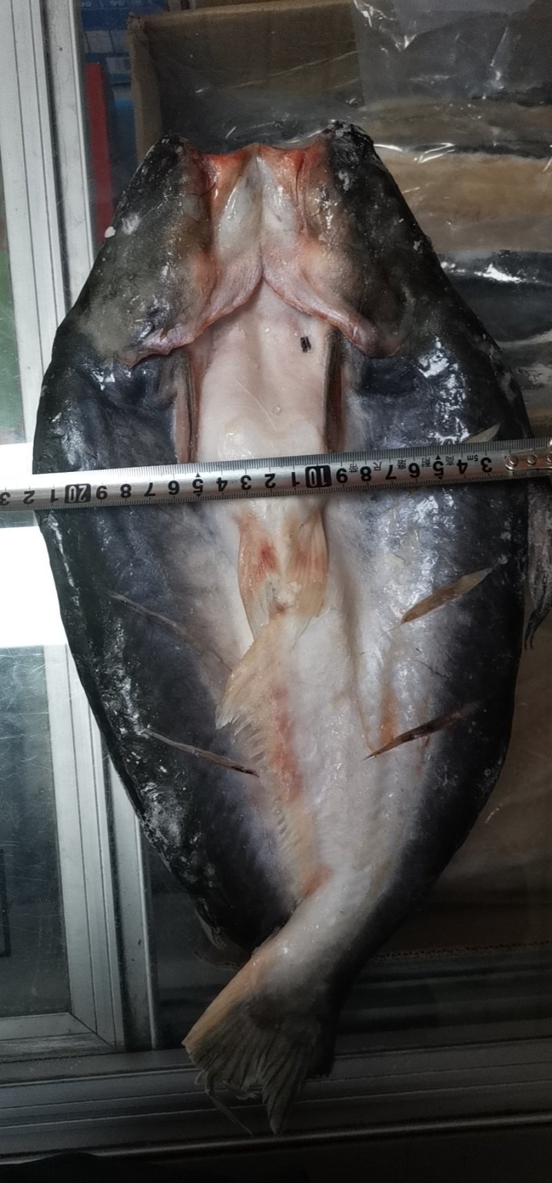缅甸原装进口巴沙鱼