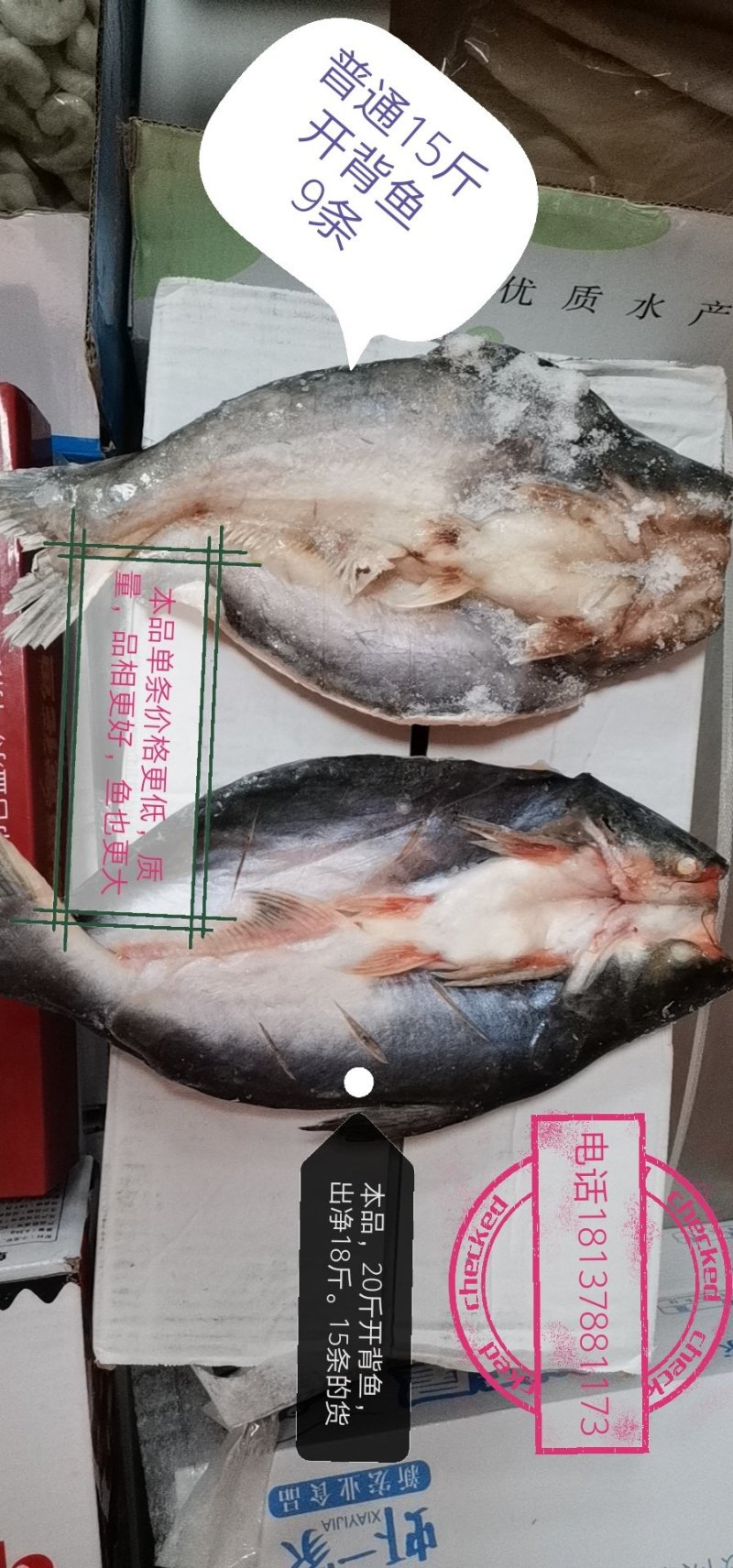 缅甸原装进口巴沙鱼
