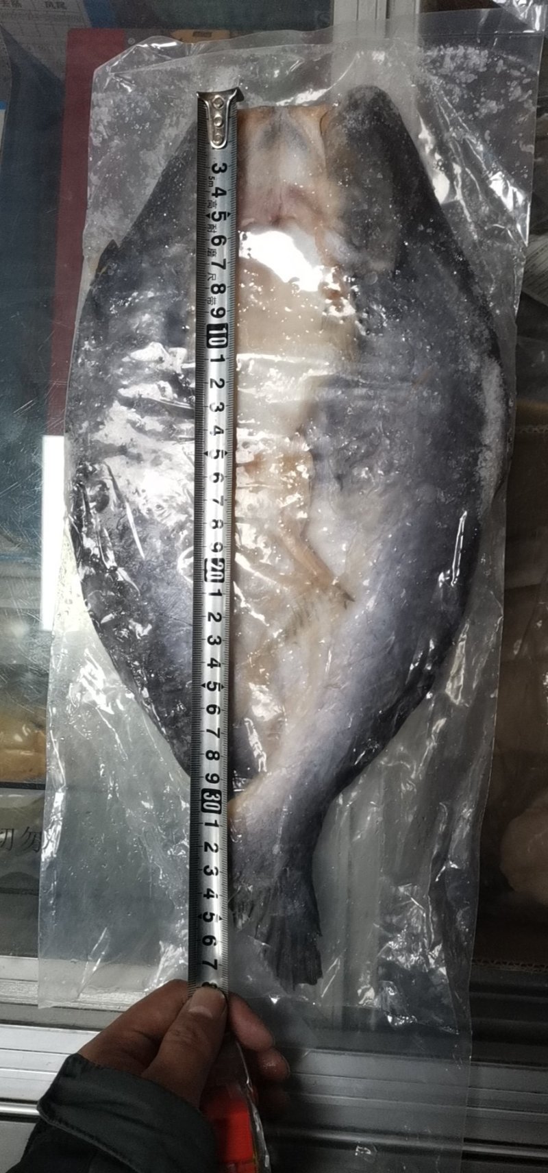 缅甸原装进口巴沙鱼
