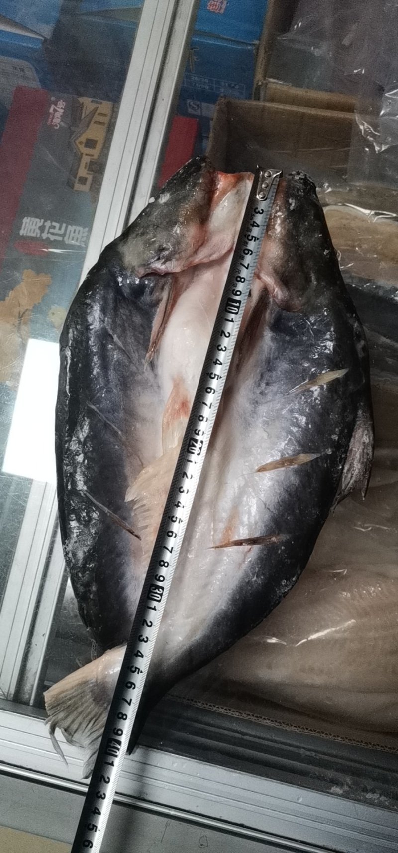 缅甸原装进口巴沙鱼