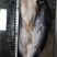 缅甸原装进口巴沙鱼