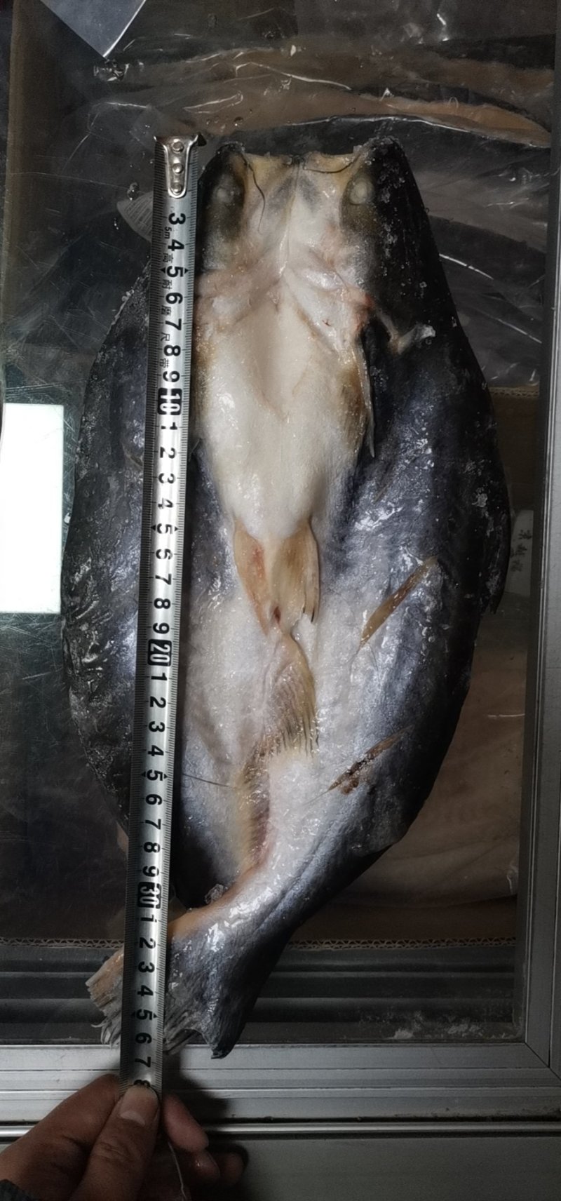 缅甸原装进口巴沙鱼