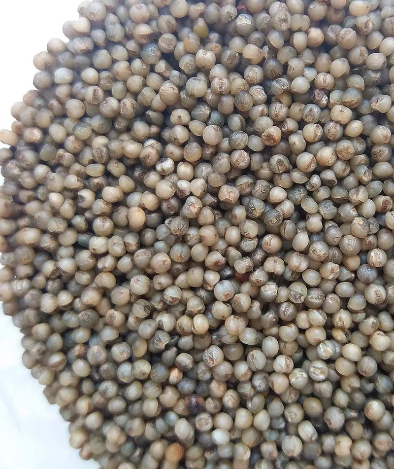 🍓🥖黑小米纯天然粗粮任意搭配十斤4元邮费