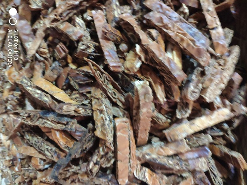 瓜蒌全瓜蒌切片货干度好货好量大祥见图片