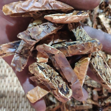 瓜蒌全瓜蒌切片货干度好货好量大祥见图片