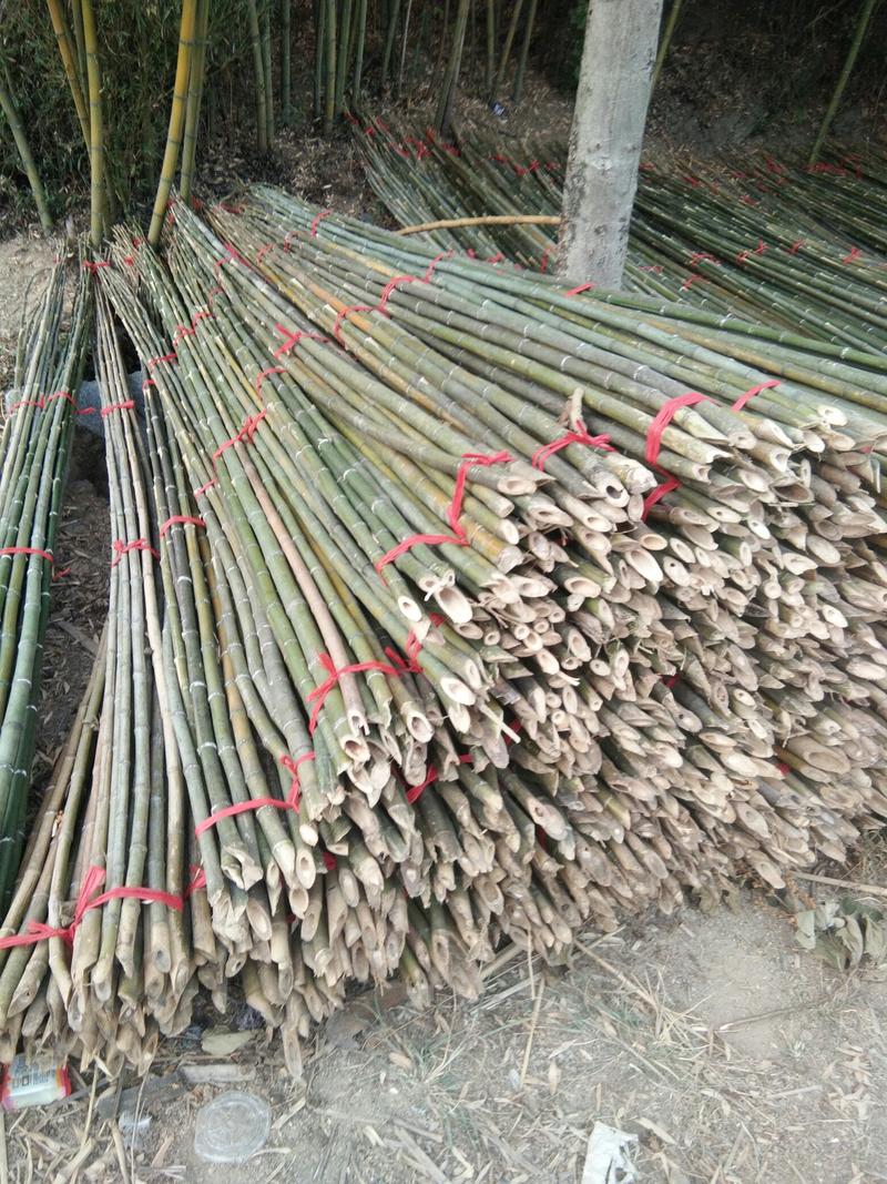 大棚竹竿，红壳竹，淡竹，各种规格竹竿