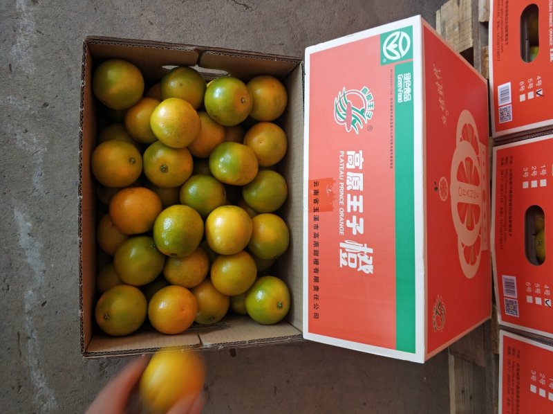 高原王子橙大品牌口感很甜很化渣整车零担供应产地直发