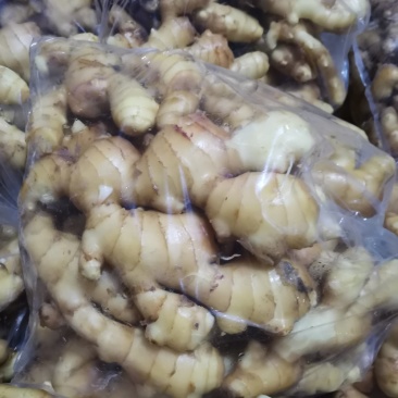 安丘精品大姜大量供应，适合各大市场需求，欢迎采购