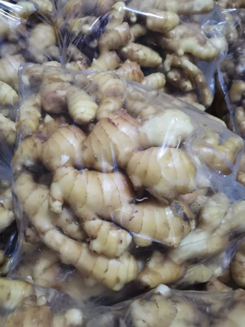 安丘精品大姜大量供应，适合各大市场需求，欢迎采购
