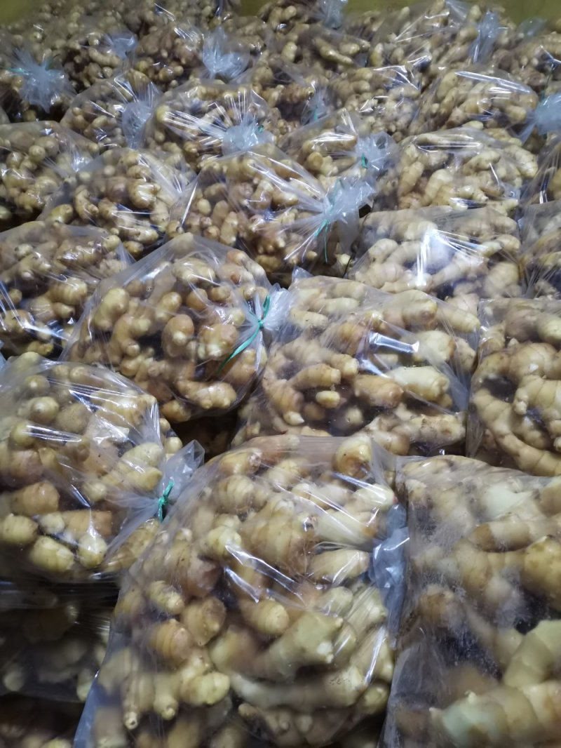 安丘精品大姜大量供应，适合各大市场需求，欢迎采购
