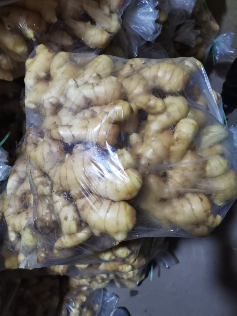 安丘精品大姜大量供应，适合各大市场需求，欢迎采购