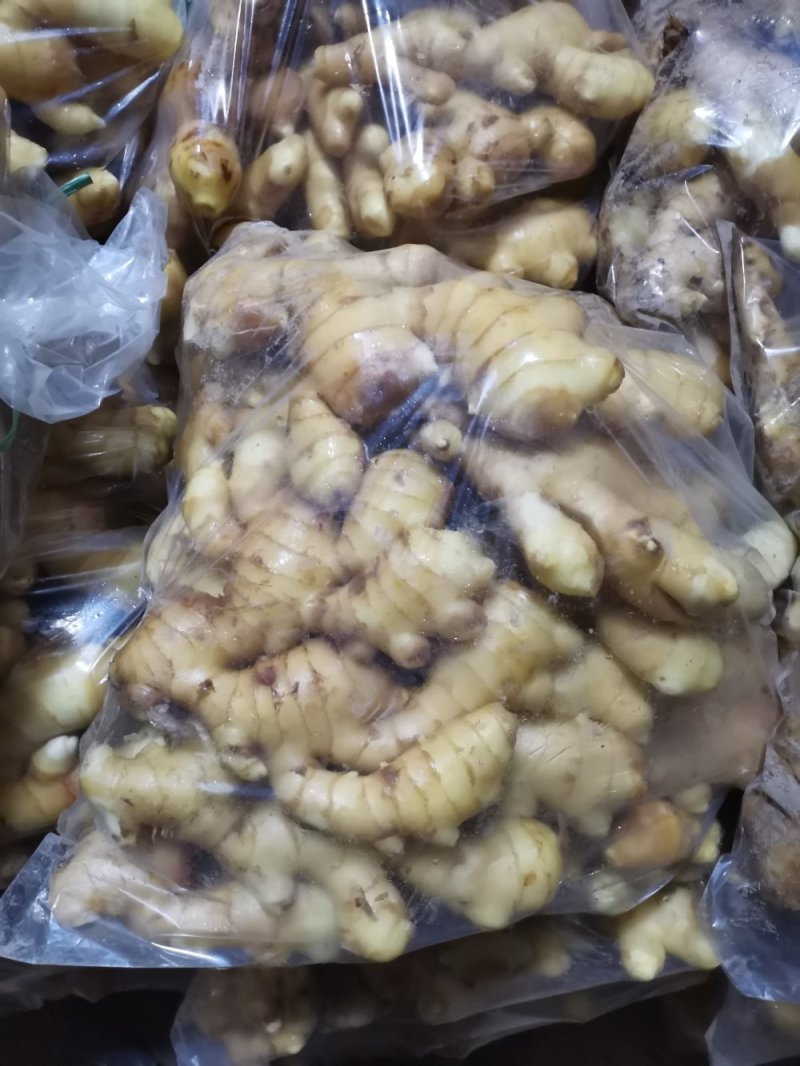 安丘精品大姜大量供应，适合各大市场需求，欢迎采购