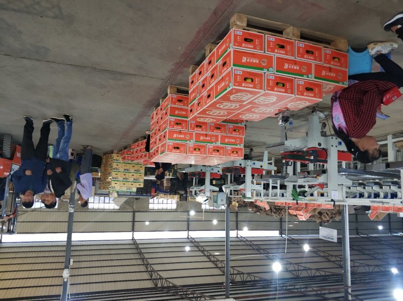 高原王子橙大品牌口感很甜很化渣整车零担供应产地直发