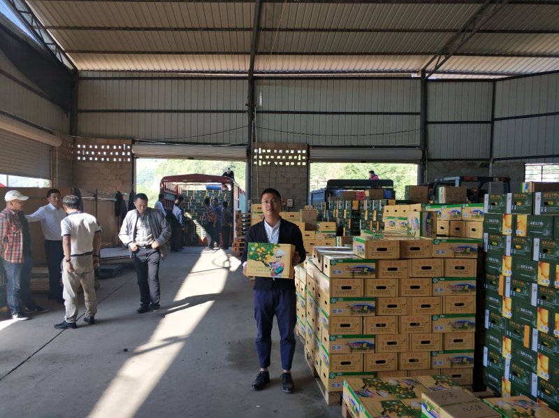 高原王子橙大品牌口感很甜很化渣整车零担供应产地直发