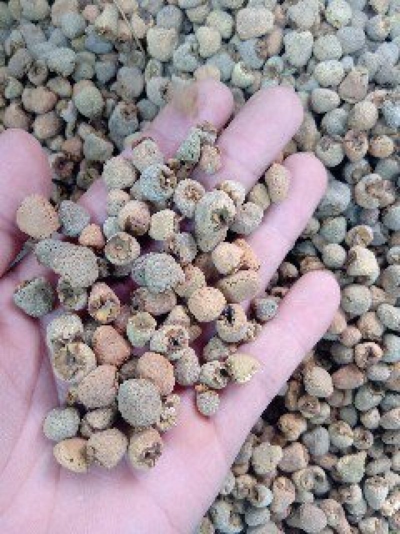 覆盆子1公斤起批不包邮量大电议欢迎咨询各种中药材