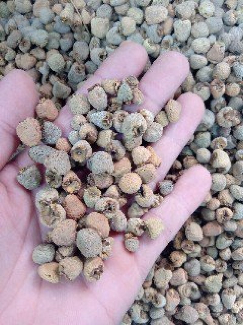 覆盆子1公斤起批不包邮量大电议欢迎咨询各种中药材