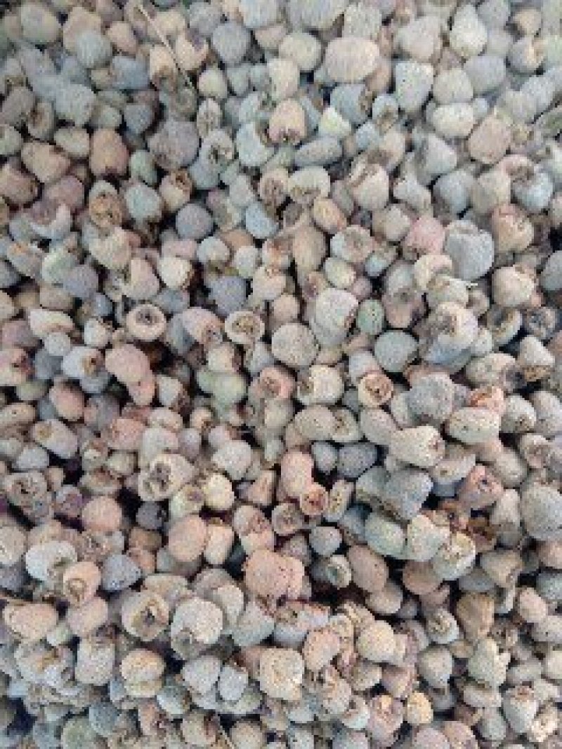 覆盆子1公斤起批不包邮量大电议欢迎咨询各种中药材