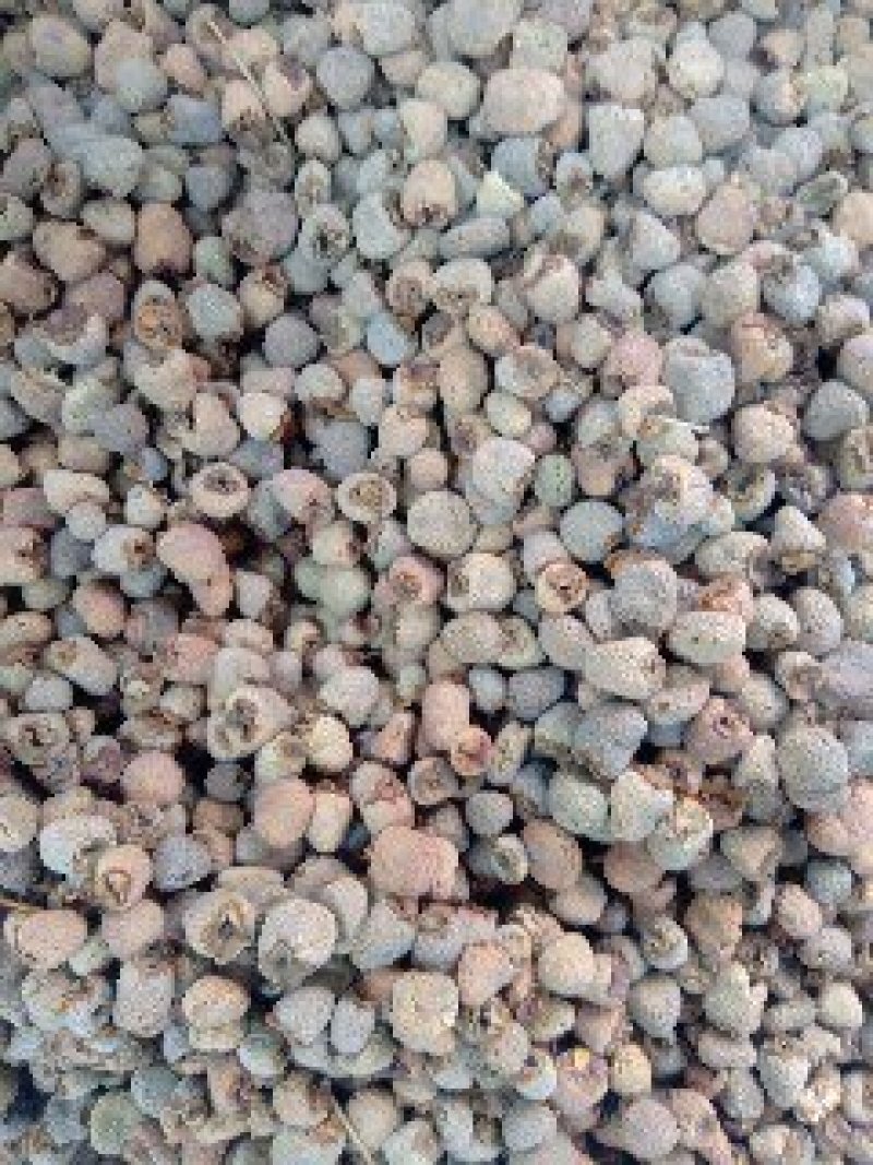 覆盆子1公斤起批不包邮量大电议欢迎咨询各种中药材