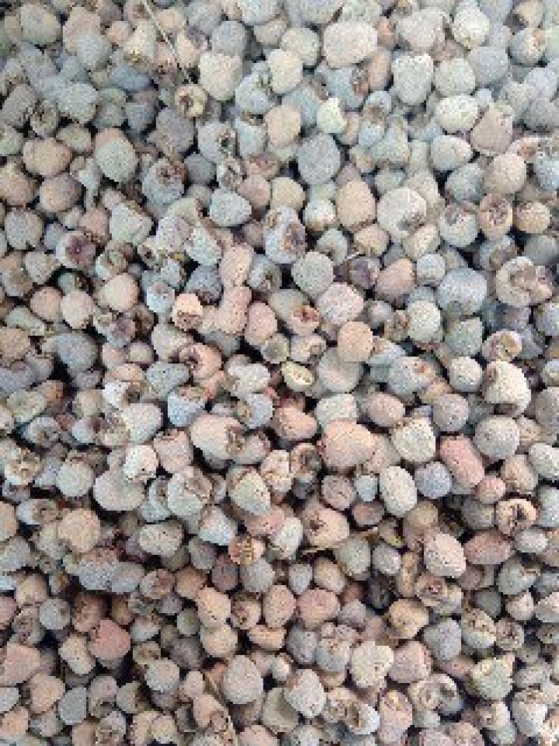 覆盆子1公斤起批不包邮量大电议欢迎咨询各种中药材