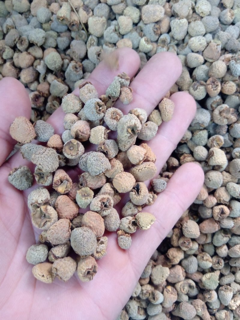 覆盆子1公斤起批不包邮量大电议欢迎咨询各种中药材