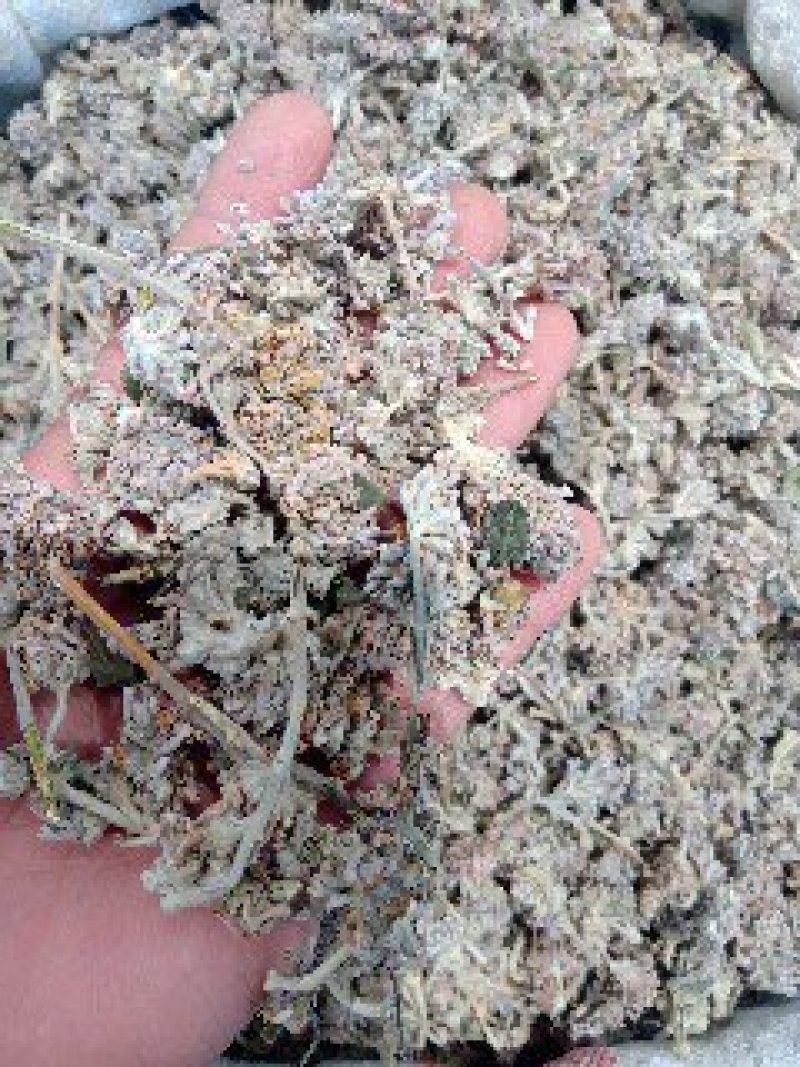 密蒙花1公斤起批不包邮量大电议欢迎咨询各种中药材