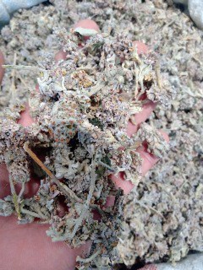 密蒙花1公斤起批不包邮量大电议欢迎咨询各种中药材
