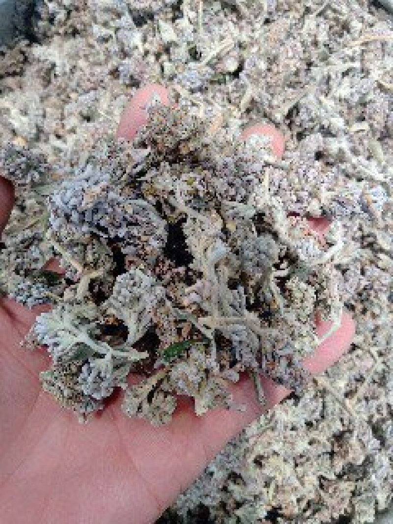 密蒙花1公斤起批不包邮量大电议欢迎咨询各种中药材