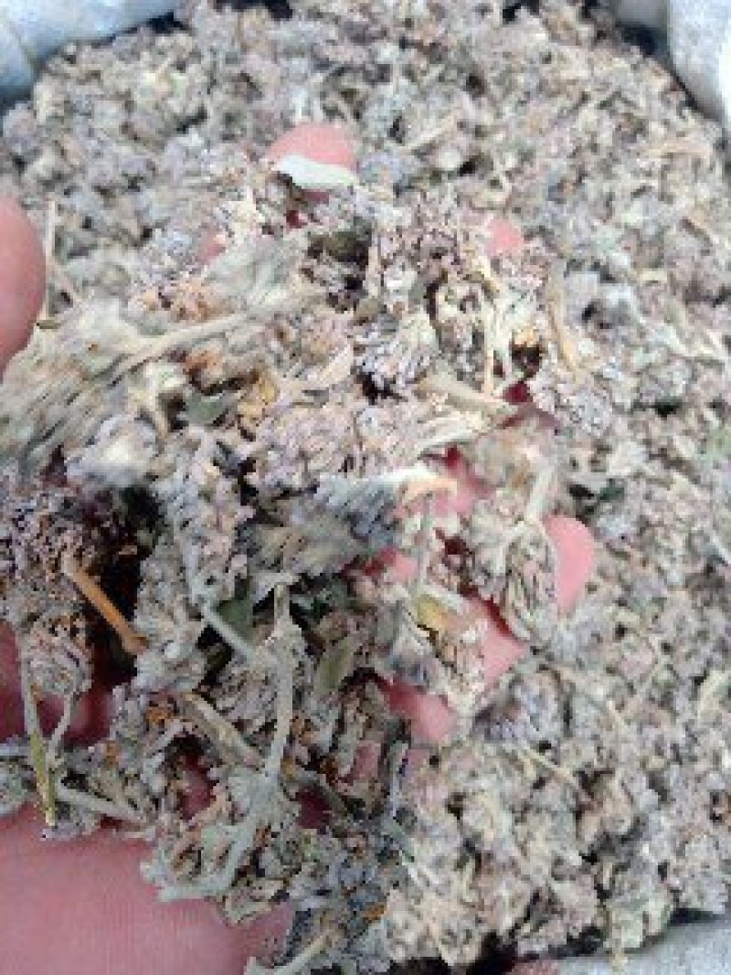 密蒙花1公斤起批不包邮量大电议欢迎咨询各种中药材