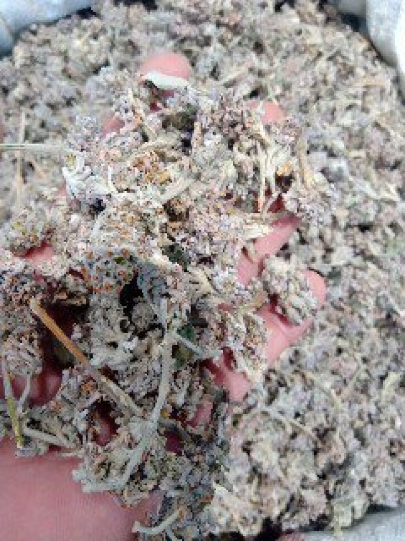 密蒙花1公斤起批不包邮量大电议欢迎咨询各种中药材
