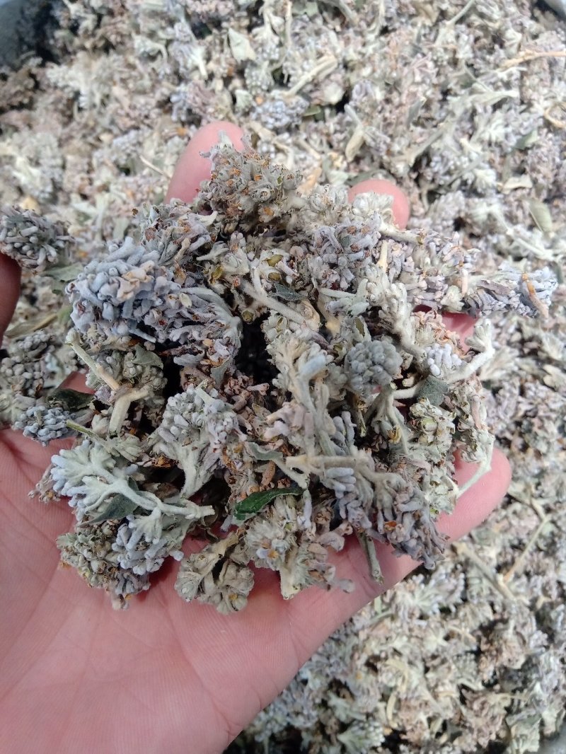 密蒙花1公斤起批不包邮量大电议欢迎咨询各种中药材