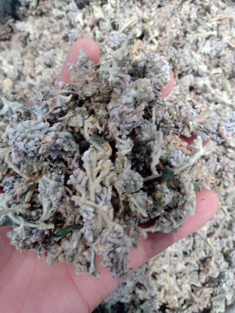 密蒙花1公斤起批不包邮量大电议欢迎咨询各种中药材