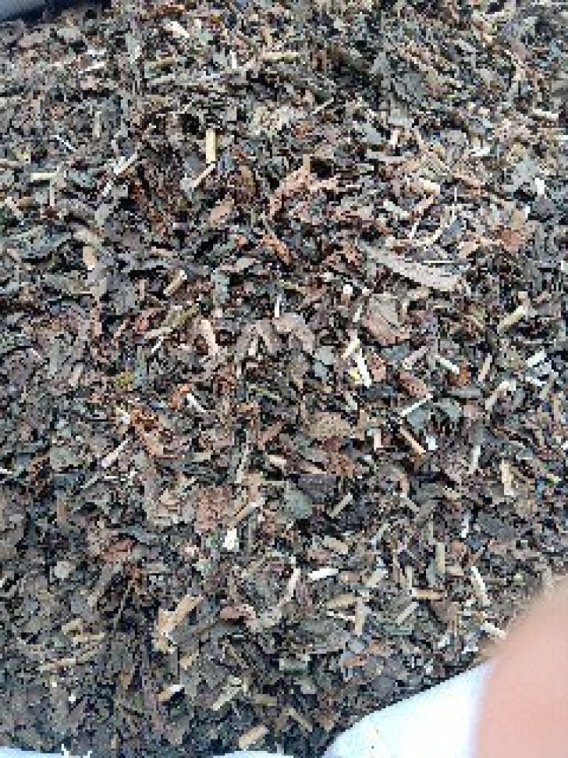 佩兰野生1公斤起批不包邮量大电议欢迎咨询