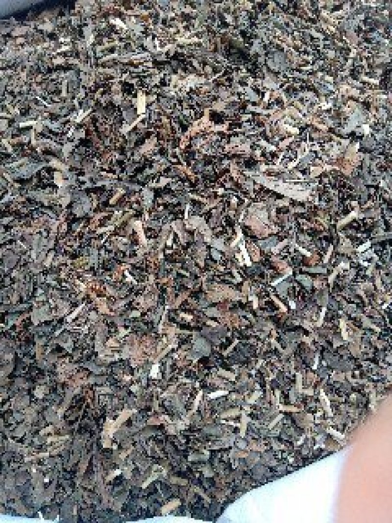 佩兰野生1公斤起批不包邮量大电议欢迎咨询