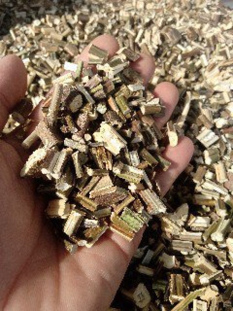 紫苏梗1公斤起批不包邮量大电议欢迎咨询各种中药材
