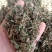 律草野生1公斤起批不包邮量大电议欢迎咨询各种中药材