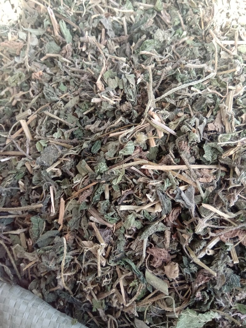 律草野生1公斤起批不包邮量大电议欢迎咨询各种中药材