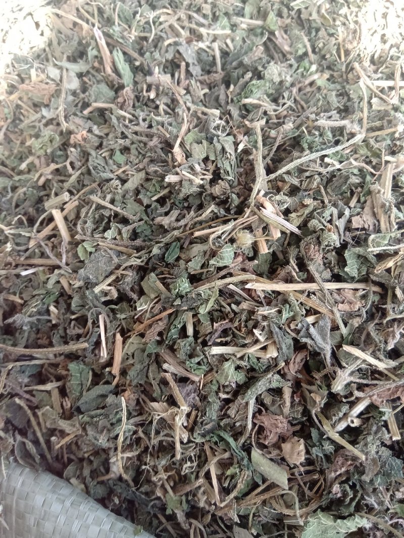 律草野生1公斤起批不包邮量大电议欢迎咨询各种中药材