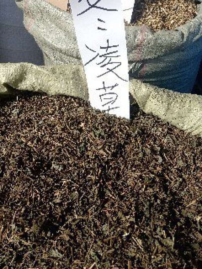冬凌草野生1公斤起批不包邮量大电议欢迎咨询各种中药材