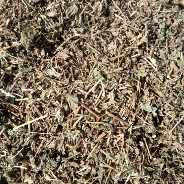 冬凌草野生1公斤起批不包邮量大电议欢迎咨询各种中药材