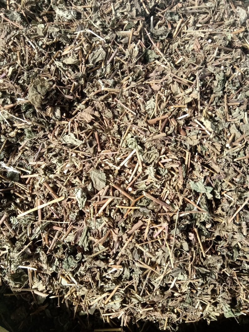 冬凌草野生1公斤起批不包邮量大电议欢迎咨询各种中药材