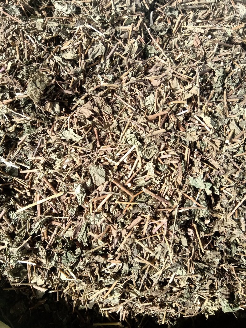 冬凌草野生1公斤起批不包邮量大电议欢迎咨询各种中药材