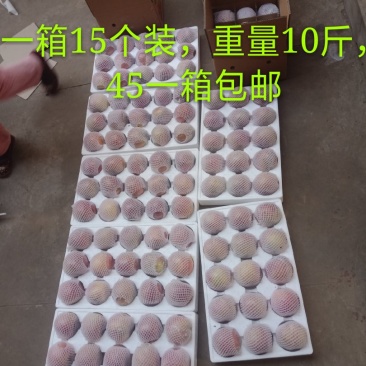 山西临汾红富士冰糖心苹果