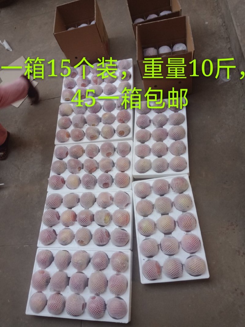 山西临汾红富士冰糖心苹果